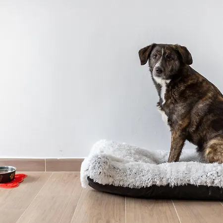 Arya's Corner By The - Parcheggio - Vista * Arona